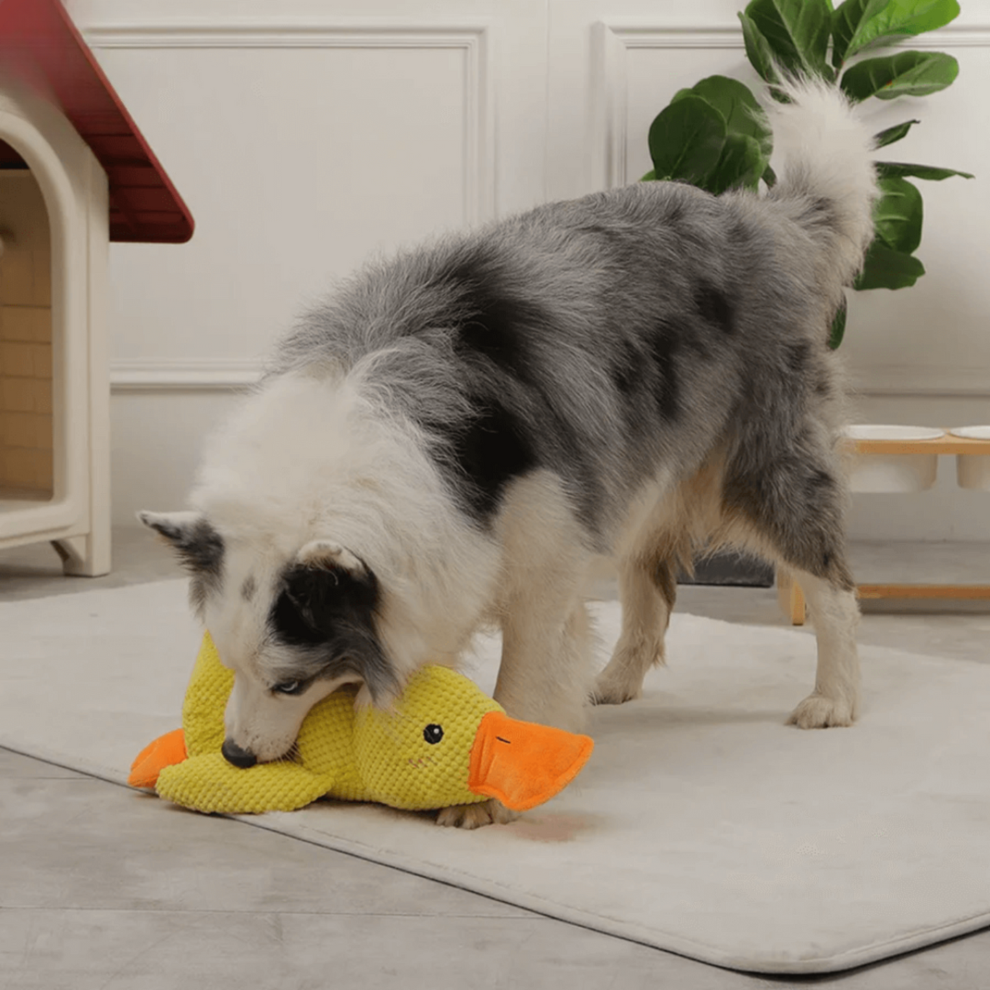 🐾 QuackPal™ – Sjov og blød ven til din hund