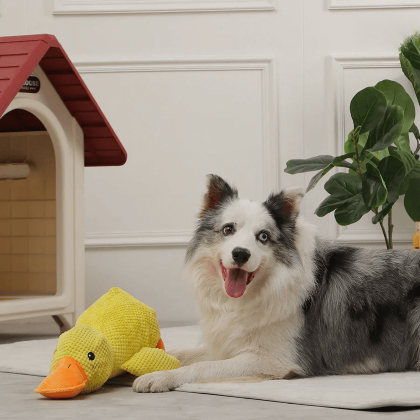 🐾 QuackPal™ – Sjov og blød ven til din hund