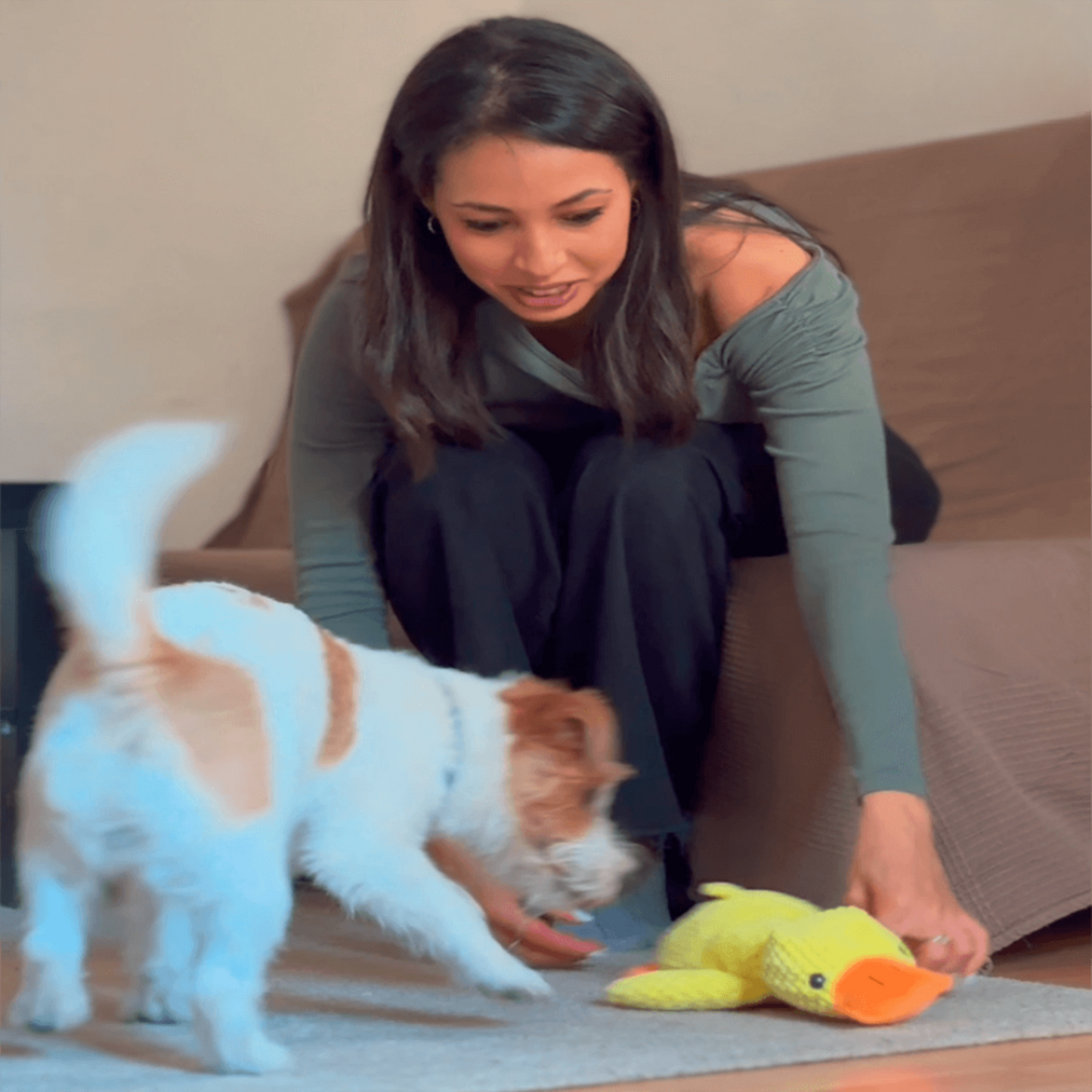 🐾 QuackPal™ – Sjov og blød ven til din hund