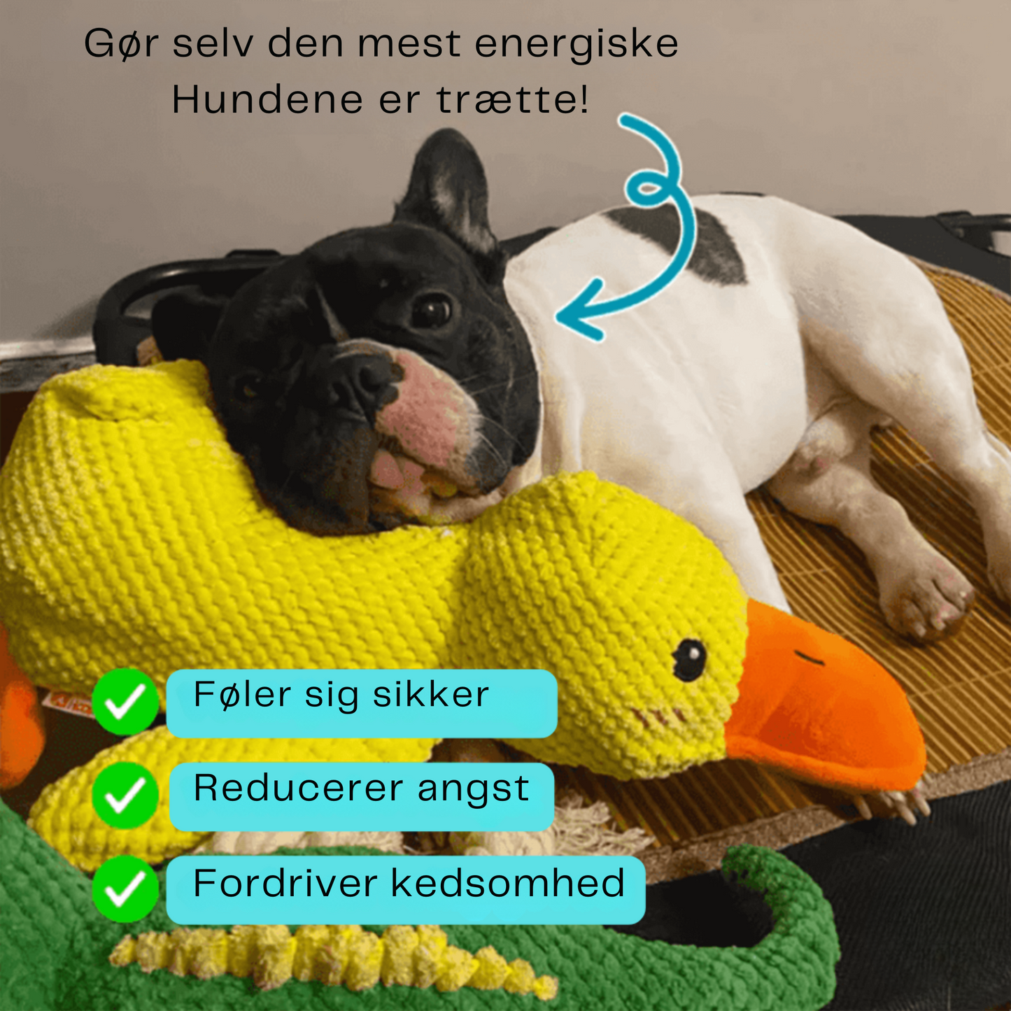 🐾 QuackPal™ – Sjov og blød ven til din hund