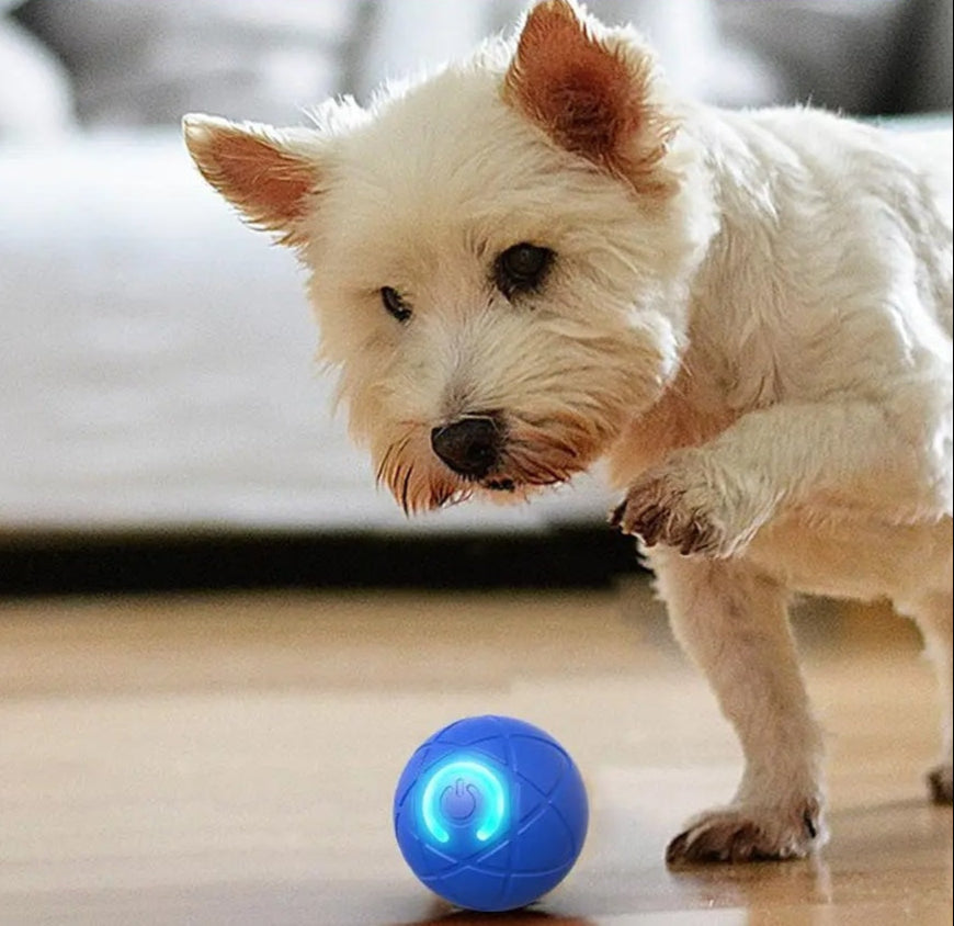 🐶 WoofVibe™ – Holder din hund underholdt i timevis. 1+1 GRATIS