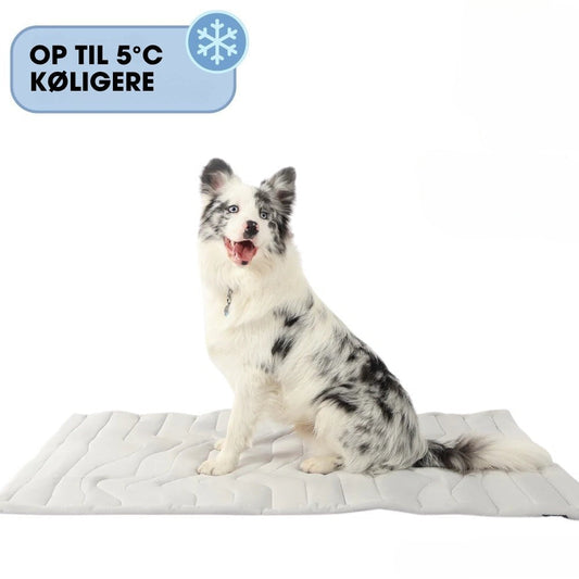 CoolPaws™ - Smart køling, bekymringsfri sommer.