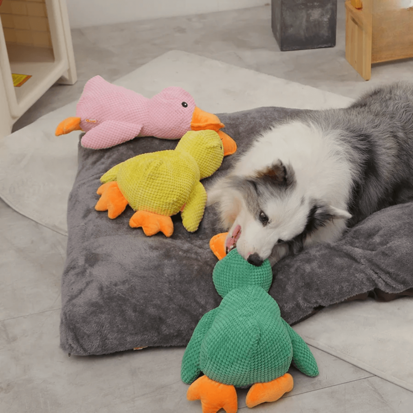 🐾 QuackPal™ – Sjov og blød ven til din hund