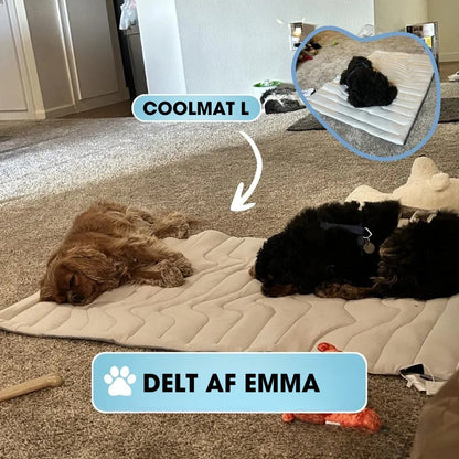 CoolPaws™ - Smart køling, bekymringsfri sommer.