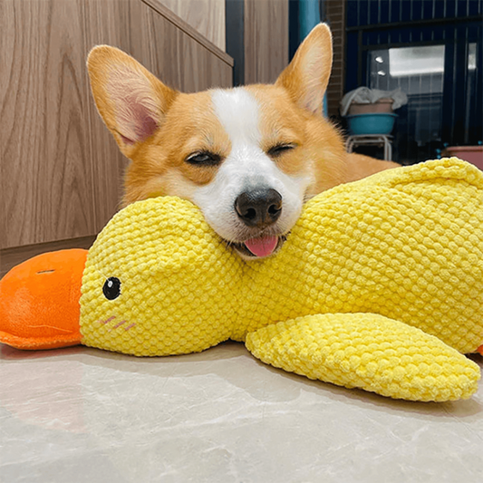 🐾 QuackPal™ – Sjov og blød ven til din hund