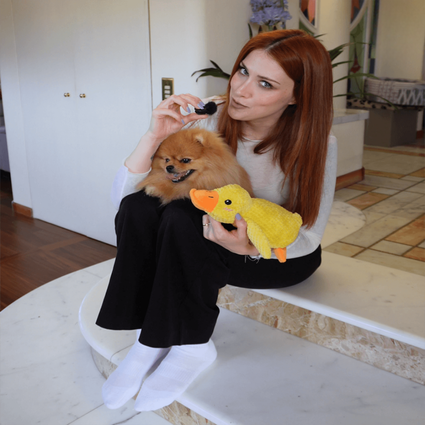 🐾 QuackPal™ – Sjov og blød ven til din hund