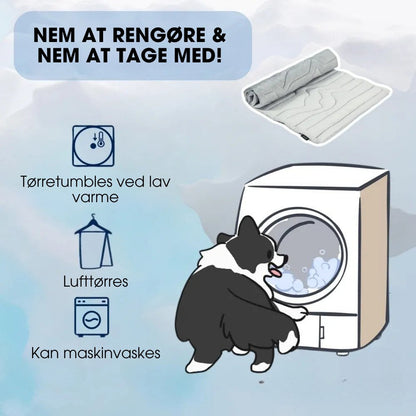 CoolPaws™ - Smart køling, bekymringsfri sommer.