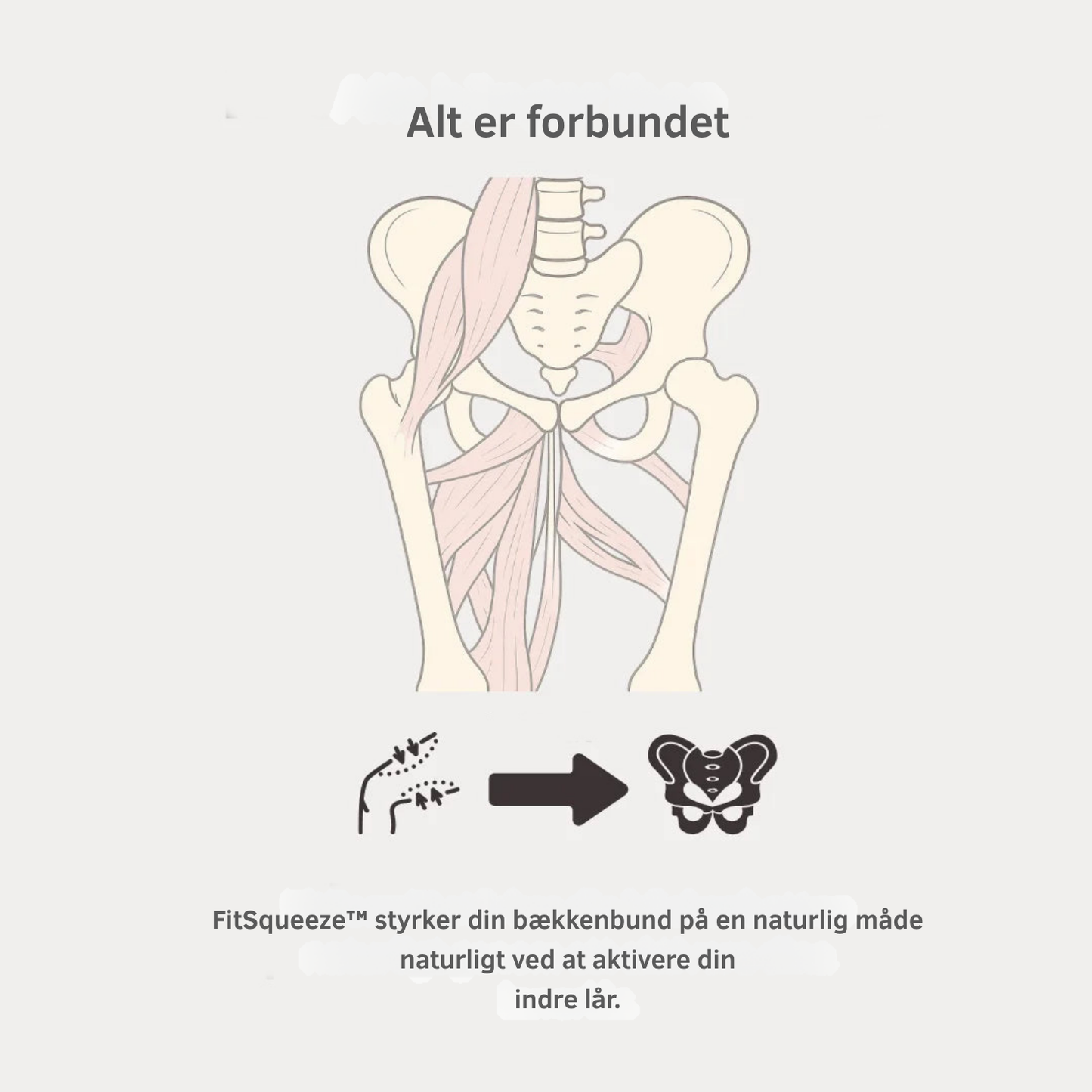 FitSqueeze™ - Træn smart. Ton hurtigt.