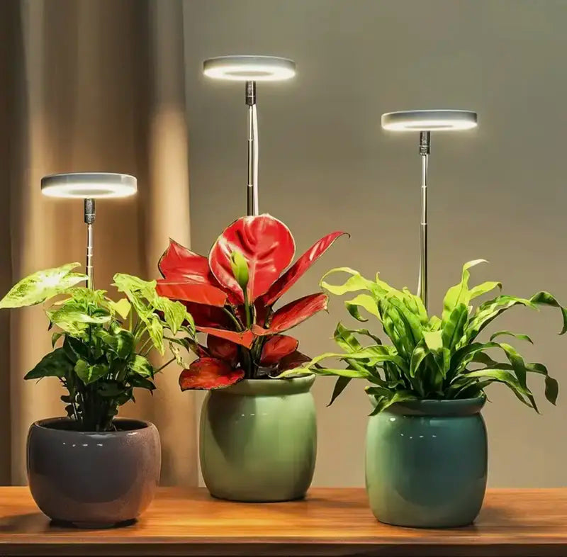 🌿 EcoBloom™ – Skab det perfekte klima, selv uden sol.
