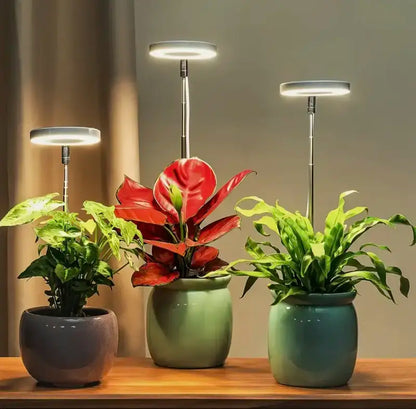🌿 EcoBloom™ – Skab det perfekte klima, selv uden sol.