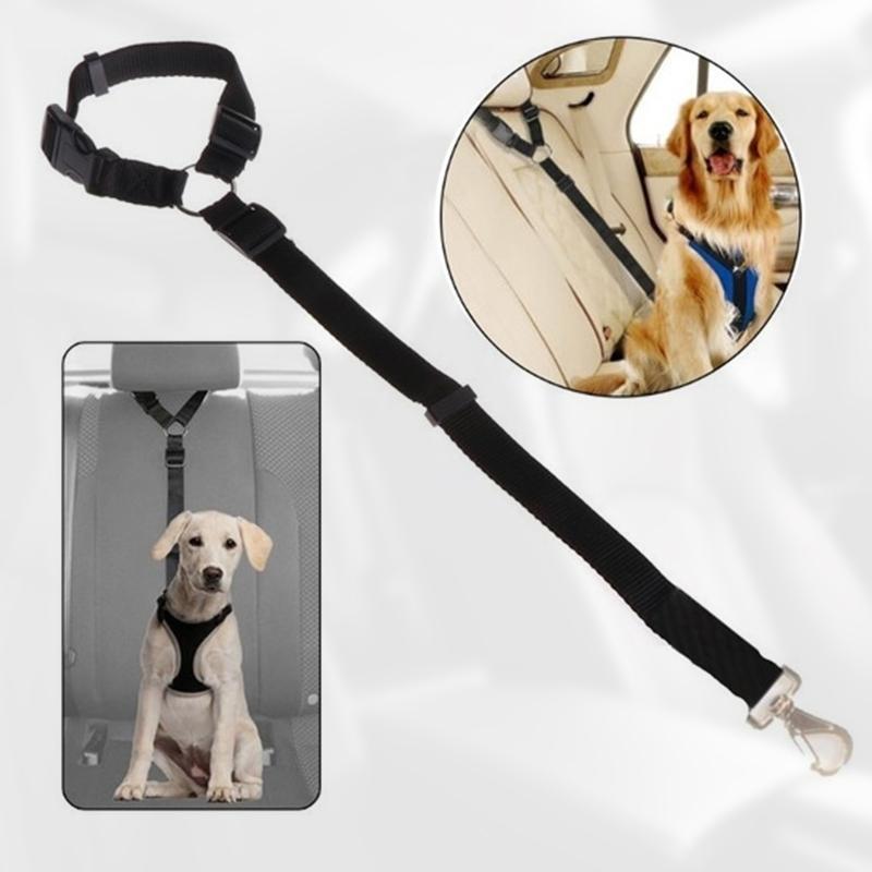 🐾 PetSecure™ – Sikkerhed og komfort til din bedste ven på vejen