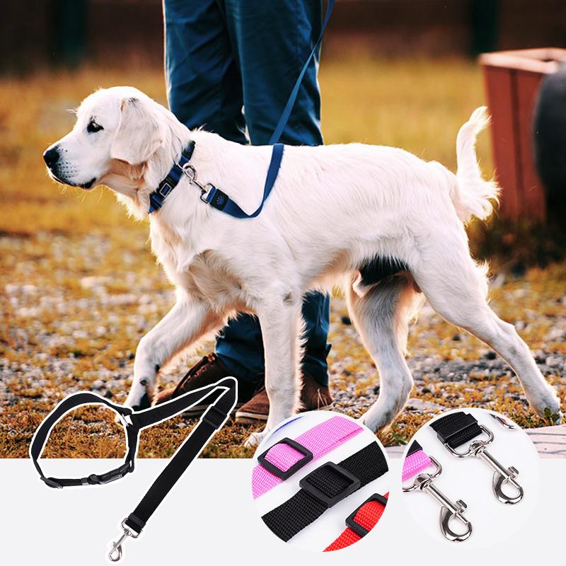 🐾 PetSecure™ – Sikkerhed og komfort til din bedste ven på vejen
