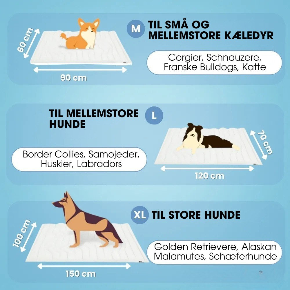 CoolPaws™ - Smart køling, bekymringsfri sommer.