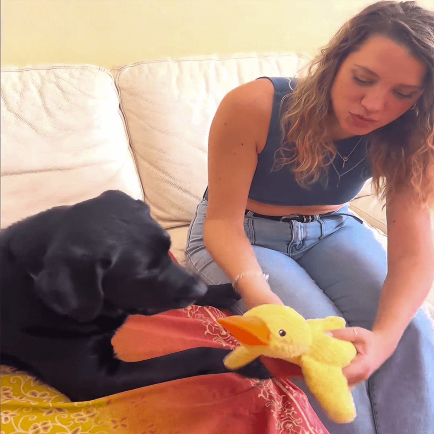 🐾 QuackPal™ – Sjov og blød ven til din hund