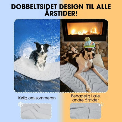 CoolPaws™ - Smart køling, bekymringsfri sommer.