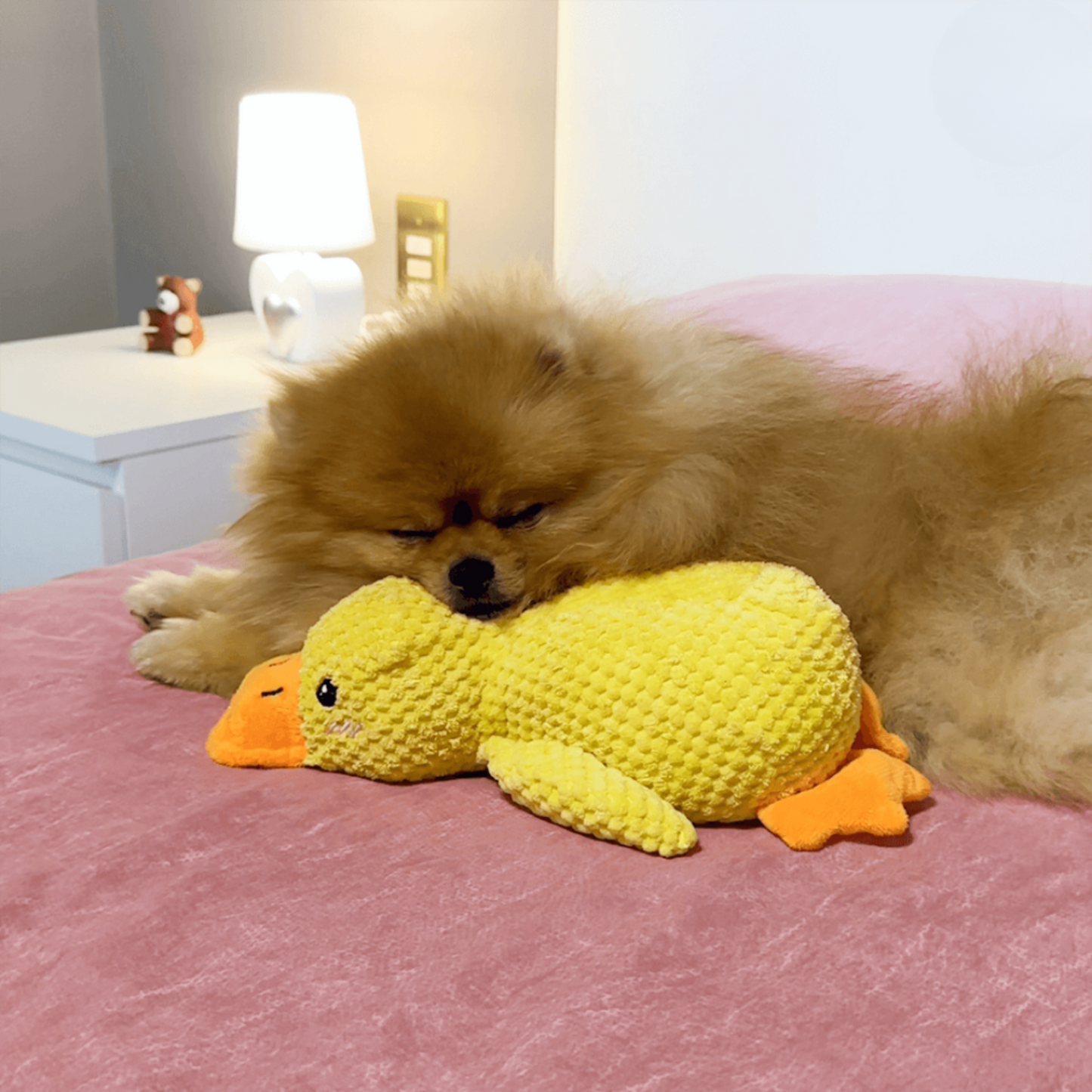 🐾 QuackPal™ – Sjov og blød ven til din hund