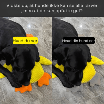 🐾 QuackPal™ – Sjov og blød ven til din hund