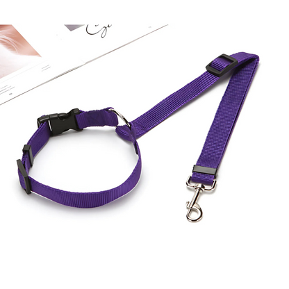 🐾 PetSecure™ – Sikkerhed og komfort til din bedste ven på vejen