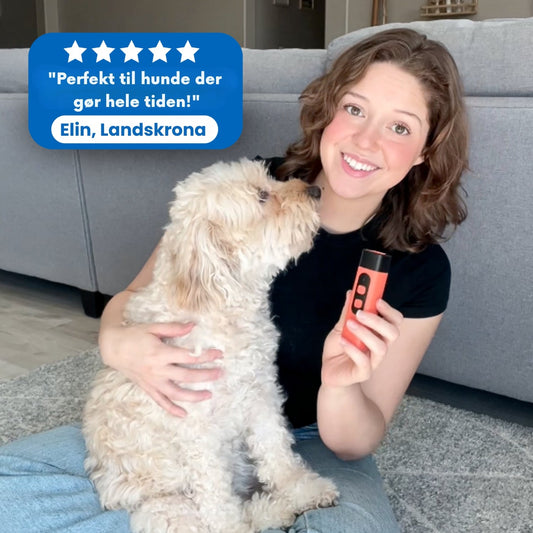 🐾 SilentWoof™ – Kontroller blaffen, bevar roen.