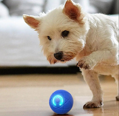 🐶 WoofVibe™ – Holder din hund underholdt i timevis. 1+1 GRATIS