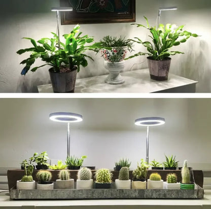 🌿 EcoBloom™ – Skab det perfekte klima, selv uden sol.