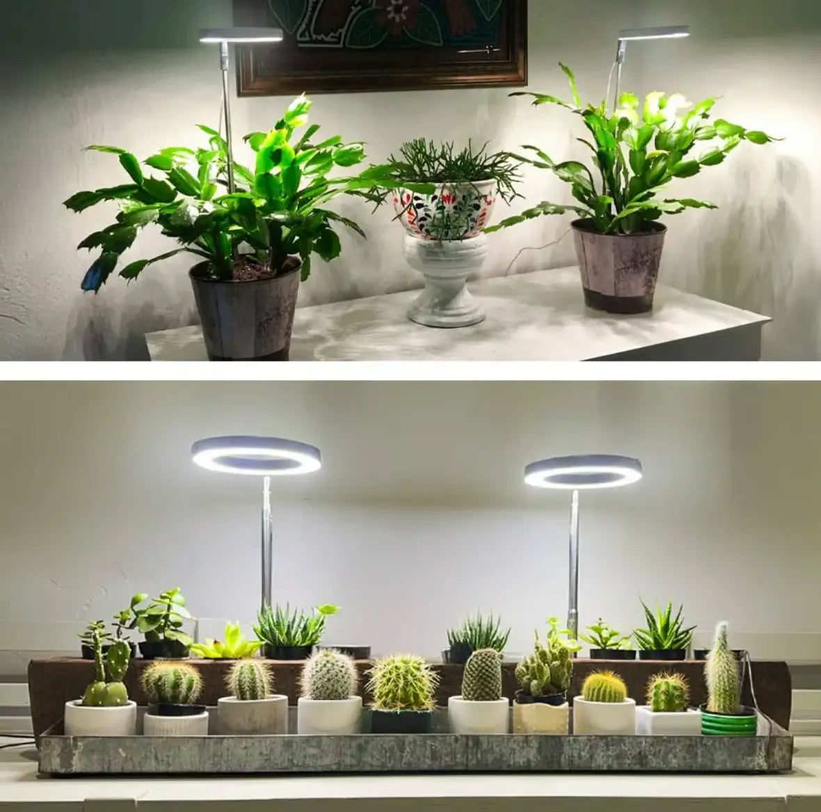 🌿 EcoBloom™ – Skab det perfekte klima, selv uden sol.