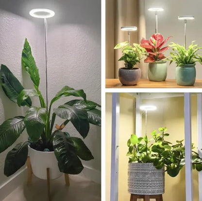 🌿 EcoBloom™ – Skab det perfekte klima, selv uden sol.