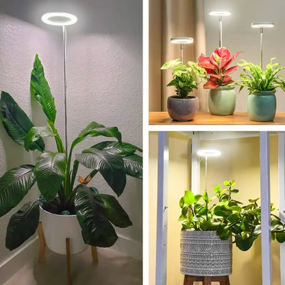 🌿 EcoBloom™ – Skab det perfekte klima, selv uden sol.