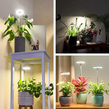 🌿 EcoBloom™ – Skab det perfekte klima, selv uden sol.