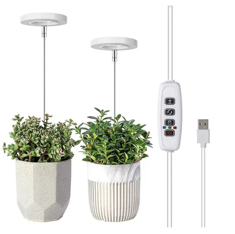 🌿 EcoBloom™ – Skab det perfekte klima, selv uden sol.