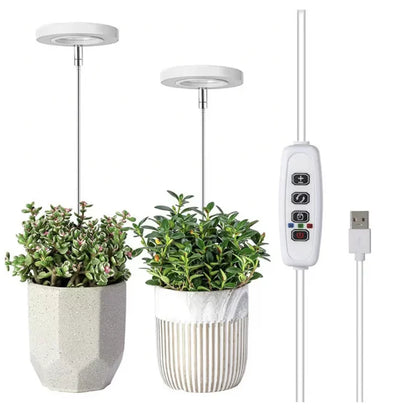 🌿 EcoBloom™ – Skab det perfekte klima, selv uden sol.
