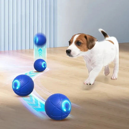 🐶 WoofVibe™ – Holder din hund underholdt i timevis. 1+1 GRATIS